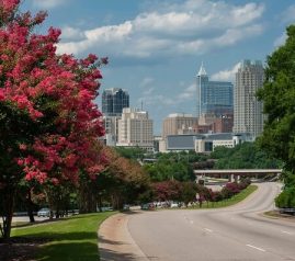 Triangle North Carolina-Great Child Education