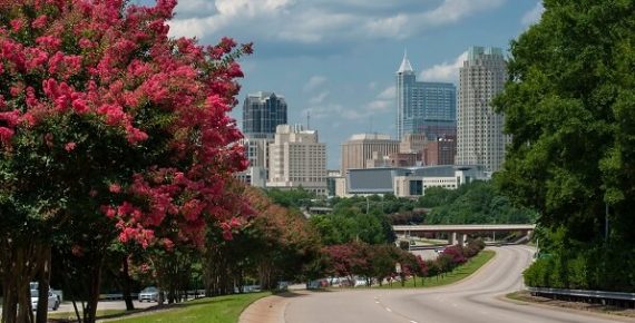 Triangle North Carolina-Great Child Education