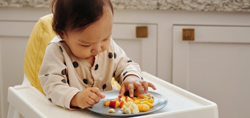 Your Infants Journey Towards Solid Food